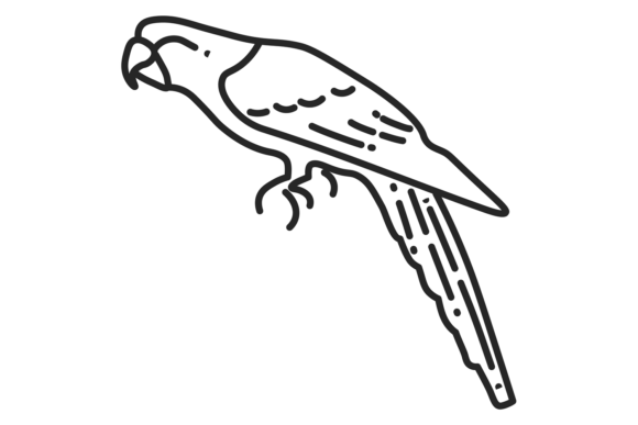 Download Parrot Line Icon. Tropical Bird. Animal - Tropical bird Collection