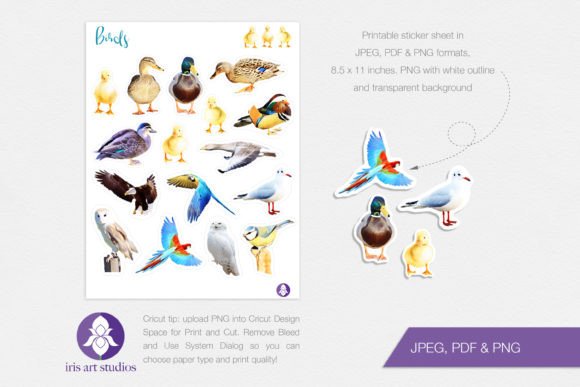 Download Printable Birds Stickers, Realistic Bird - Sticker Collection