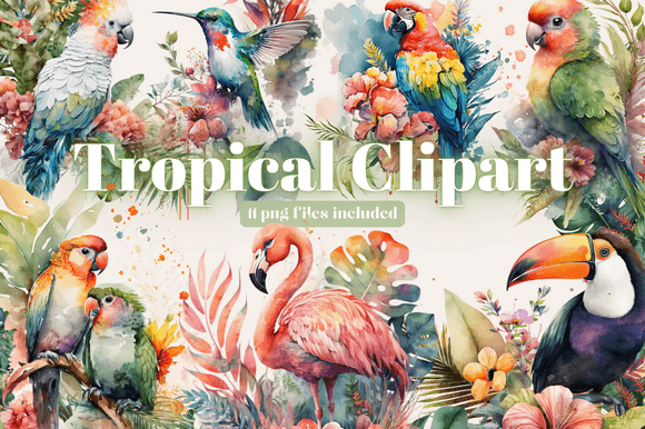 Download Tropical Bird Clipart Bundle - Tropical bird Collection