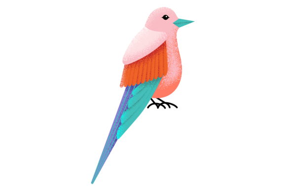 Download Tropical Bird. Colorful Winged Animal. S - Premium Bundle
