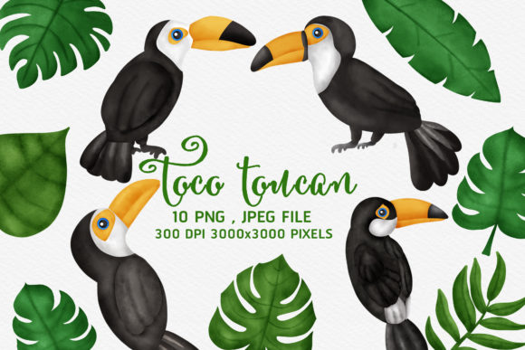 Download Tropical BIrd Cartoon Clipart - Tropical bird Collection