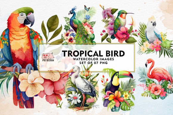 Download Tropical Bird Watercolor Sublimation - Premium Resources